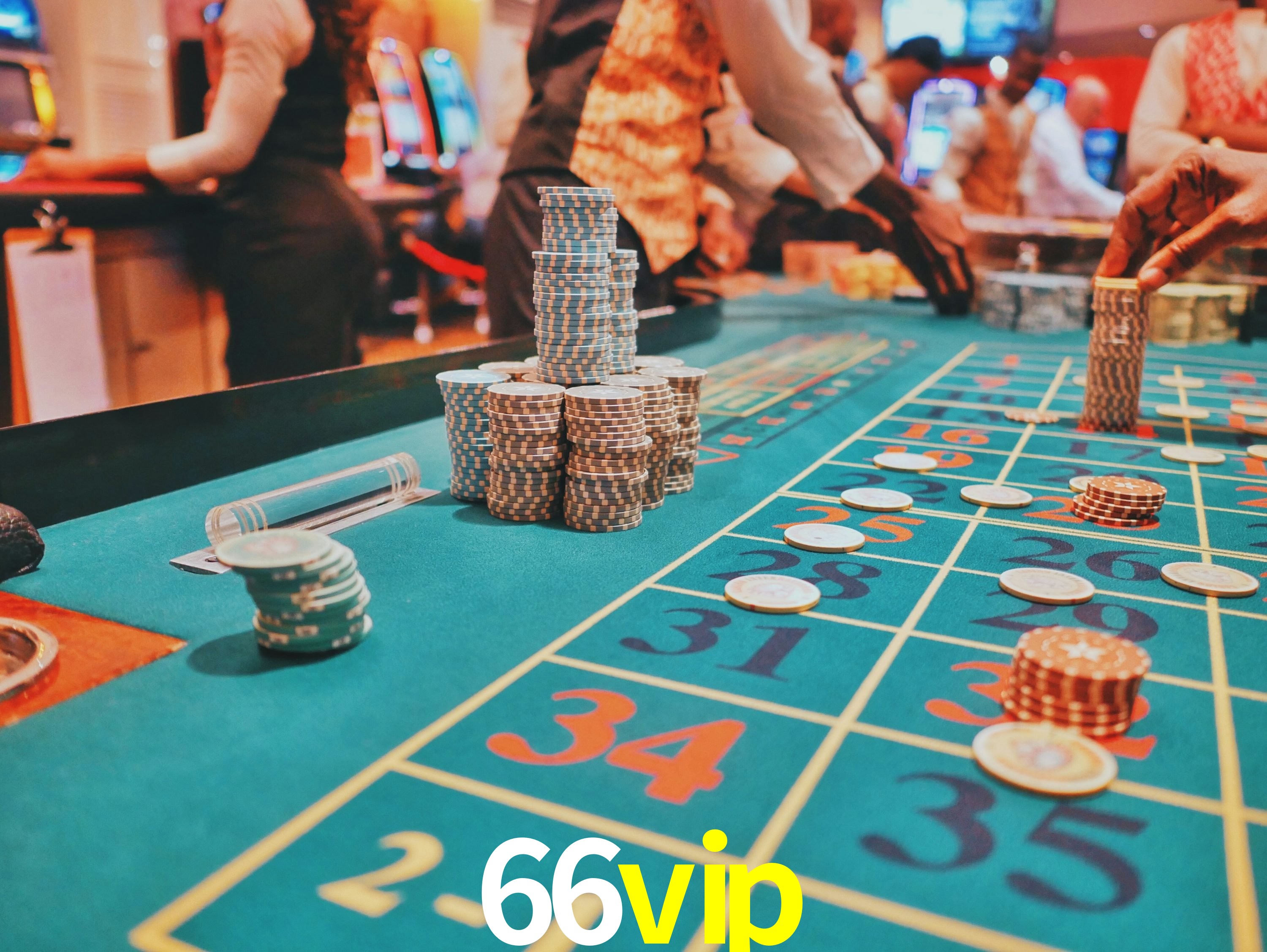 Sports Statistics 66vip